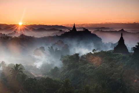Pagodas surrounded by trees