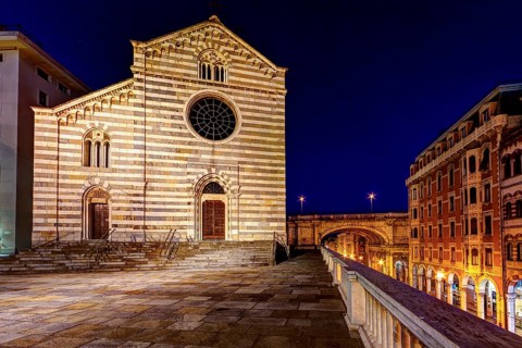 Night Scene