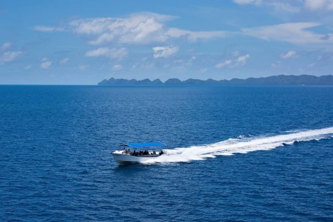 Diving boat