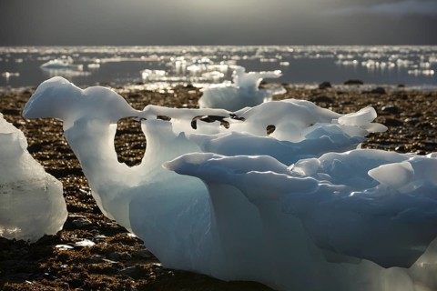 Ice formations