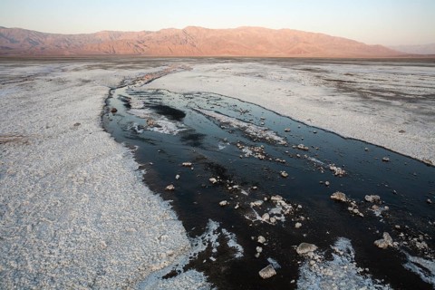 Salt marshes in the morning