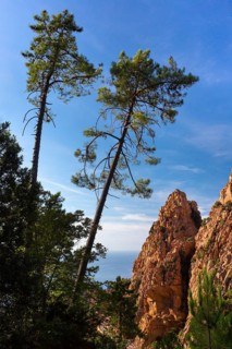 Bizarre rock erosions
