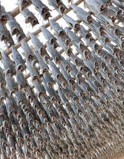 Framework with stockfish