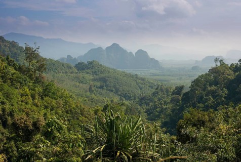 Mountain landscape