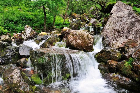 Mountain stream at the Three Sisters