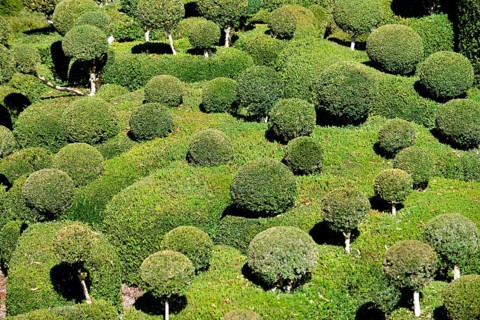 Les Jardins suspendus de Marqueyssac gardens