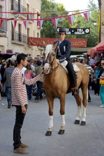 Female rider on Andalusian horse at the annual All Saints Market in Cocentaina