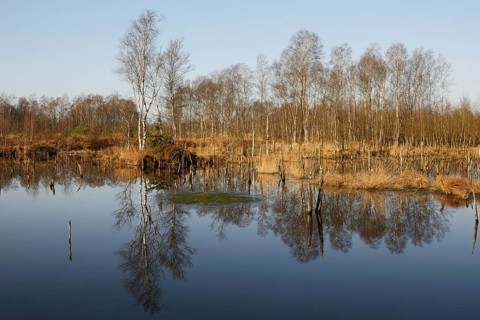 Rewetted moor