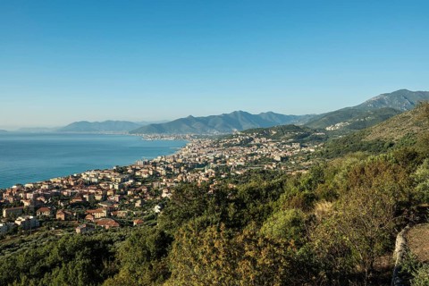Coast