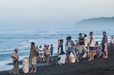 Turtle egg collectors on the beach waiting for the arrival of Olive Ridley Sea Turtles (Lepidochelys olivacea)