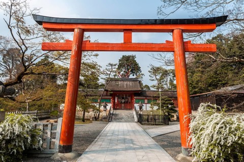 Torii gate