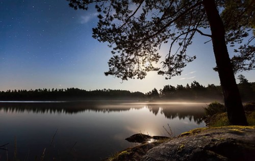 Lake in the moonlight