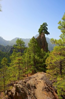 Rock formation Roque del Huso in the Parque Nacional de la Caldera de Taburiente National Park