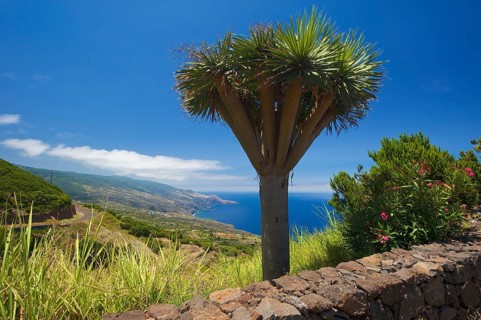 Mirador de La Tosca
