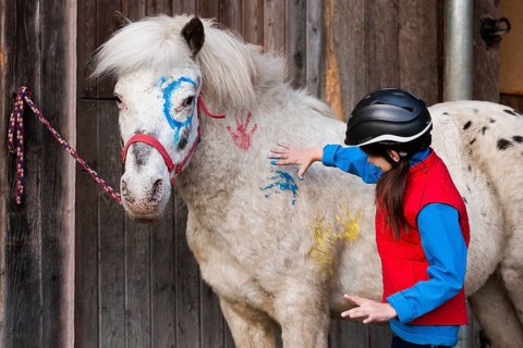 Girl wearing a riding helmet painting a pony with finger paints