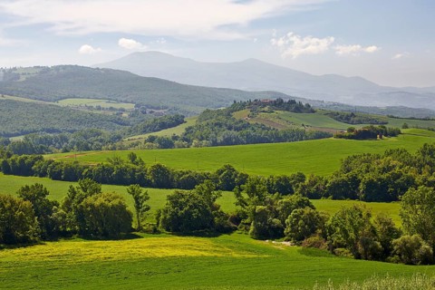 Hilly landscape of the Crete Senesi