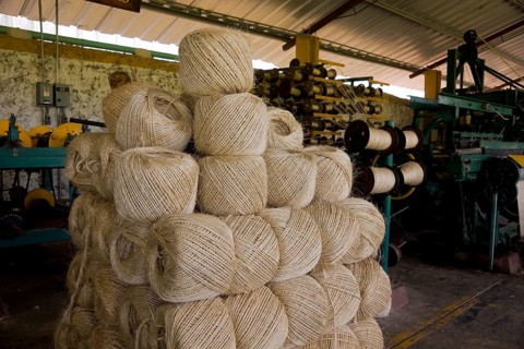 Sisal balls at the Hacienda de Sotuta de Peon
