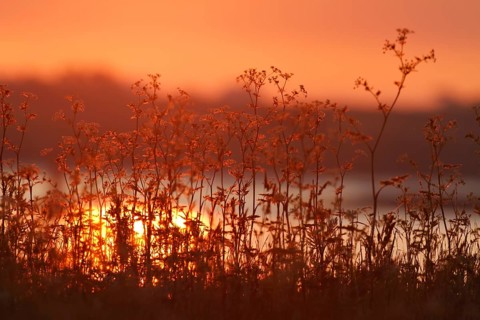 Sunrise on the Lower Weser River