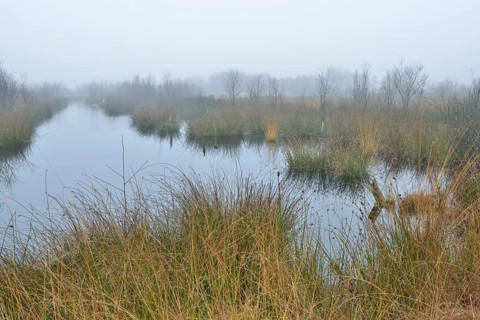High moor in autumn
