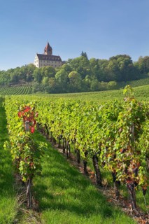 Stocksberg Castle