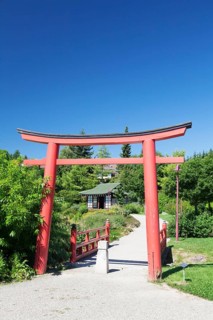 Japanese Garden