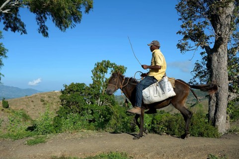 Man riding a donkey