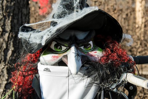 Carnival parade