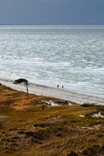 View on the western beach of Darsser Ort