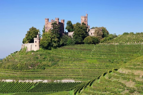 Schloss Ortenberg