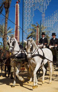 Decorated horses and dressed up coachmen at the Feria del Caballo Horse Fair