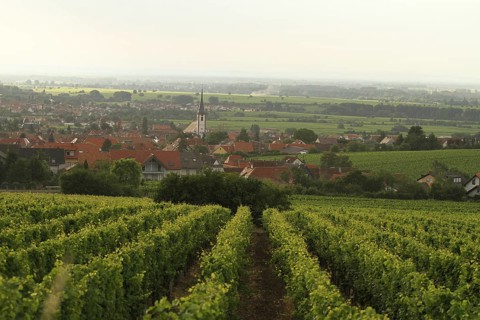 The village of Maikammer