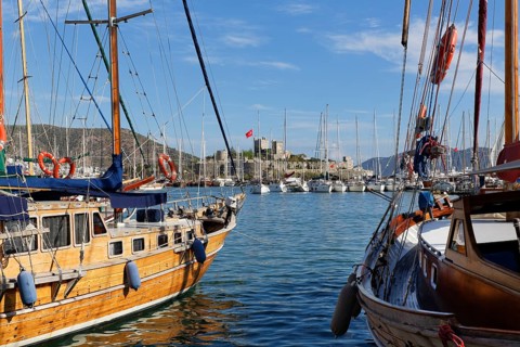 Harbour with the Castle of St Peter