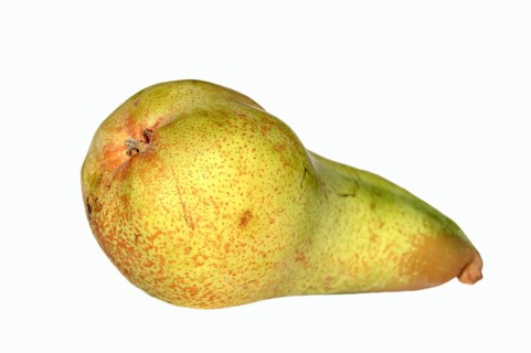 Pear (Pyrus communis)
