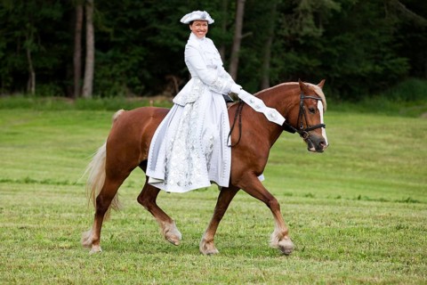Equestrienne wearing a Venetian costume riding a Welsh Cob