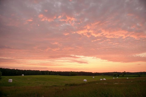 Hay bales on a mown meadow in the evening