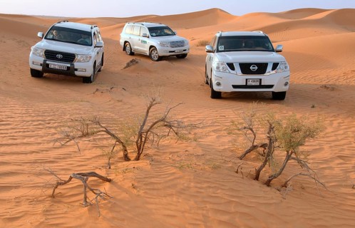 Jeep safari
