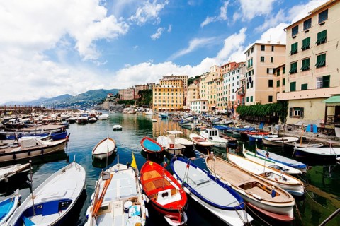 Harbour with fishing boats