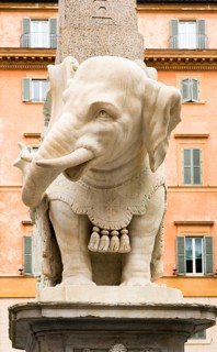 Pulcino della Minerva