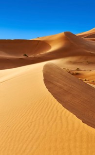 Sahara sand dunes of erg Chebbi