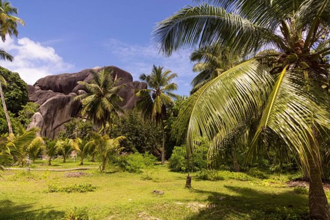 Landscape with typical rock formations in the Seychelles
