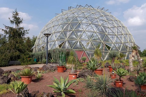 Dome greenhouse