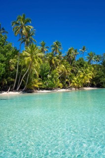 Lagoon with a sandy beach and palm trees