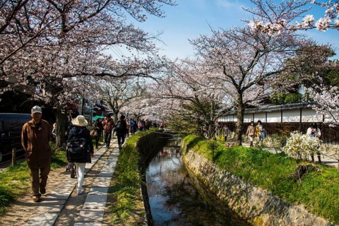Philosopher's Walk
