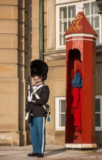 Royal Life Guard