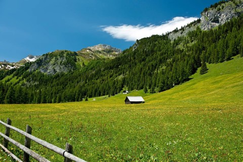 Mountain hut