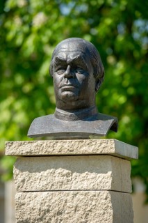 Bust