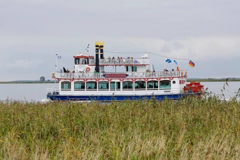 Paddle steamer