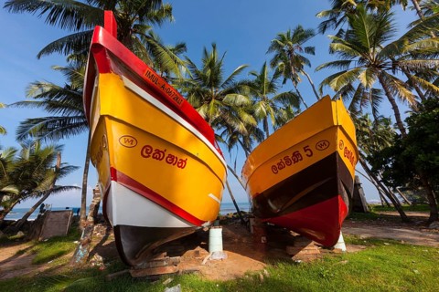 Ships of a shipbuilder