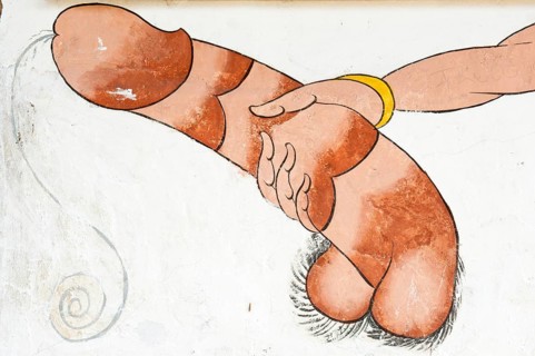 Phallus