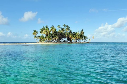 Tropical island with palm trees